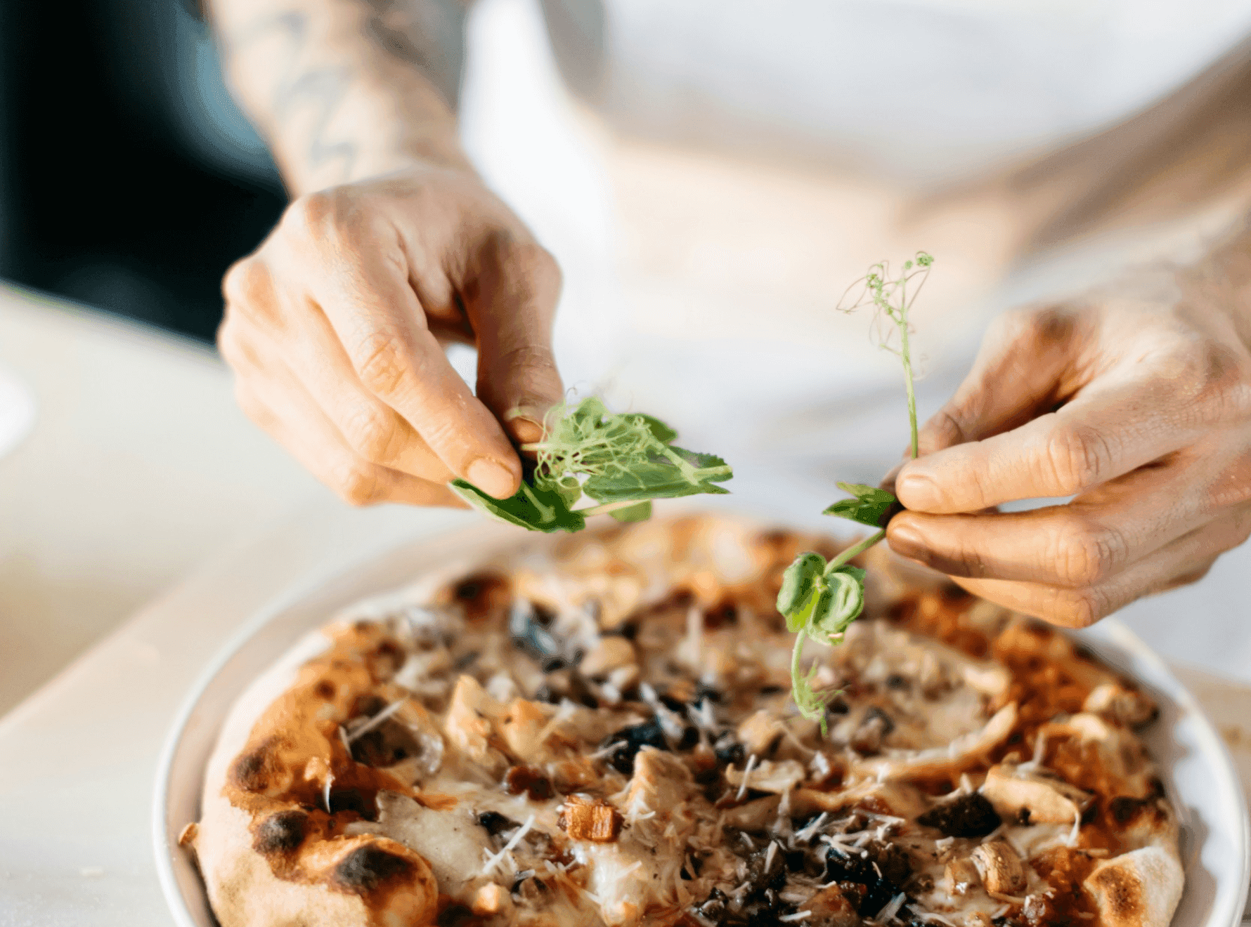 Unraveling the Mystique of Pizza Ovens